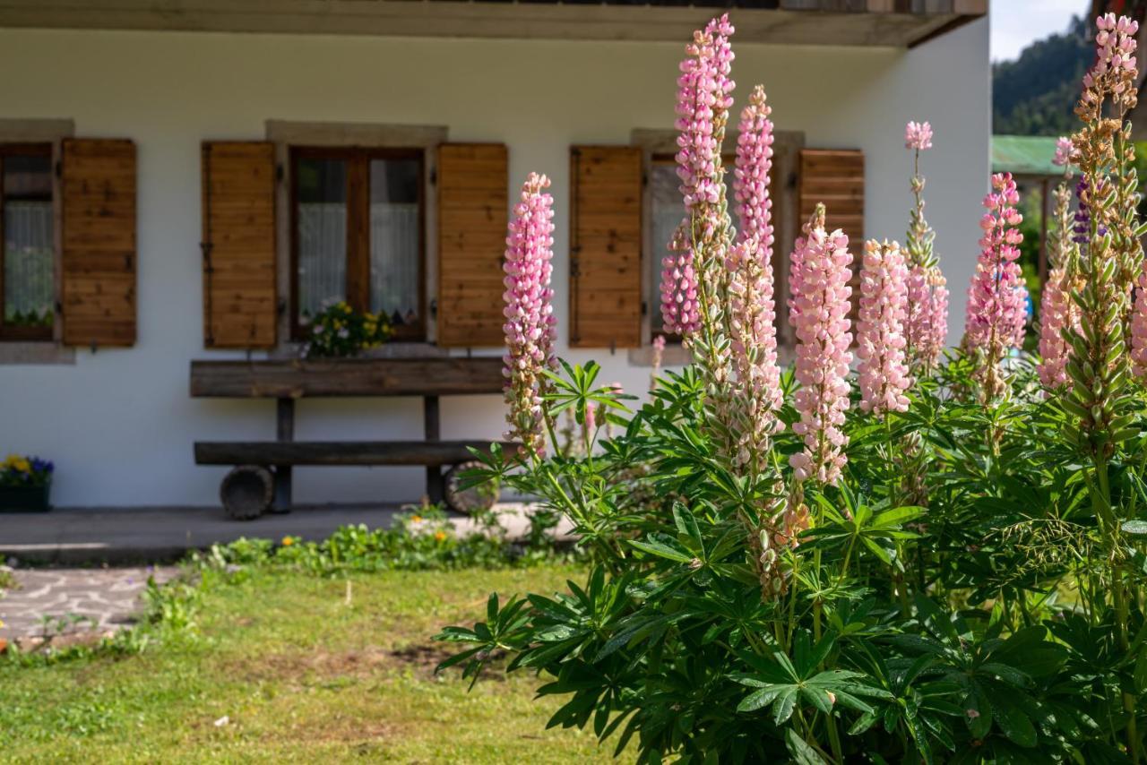 La Gerla Casa Vacanze Dolomiti Perarolo di Cadore ภายนอก รูปภาพ